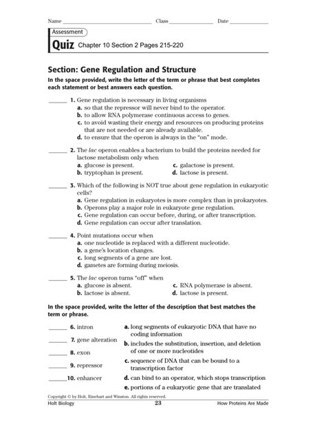 Gene Regulation Expression