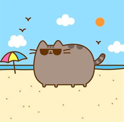 Pusheen: beach | Pusheen cute, Pusheen cat, Pusheen