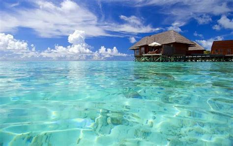 Crystal Clear Sea | Maldives beach resort, Maldives beach, Beach wallpaper