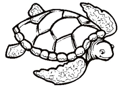 Yertle The Turtle Coloring Pages - Coloring Home