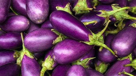 What Color Is Eggplant? About Eggplant Color (Updated 2023)