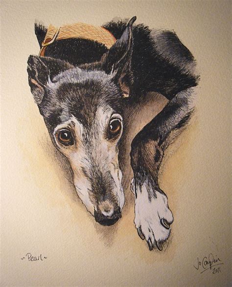 209 best Greyhound drawings, illust images on Pinterest | Greyhound art ...