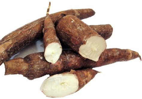 How To Plant and Harvest Cassava - HubPages