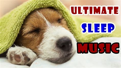 Ultimate Sleep Music for DOGS | (REST EASY) - YouTube