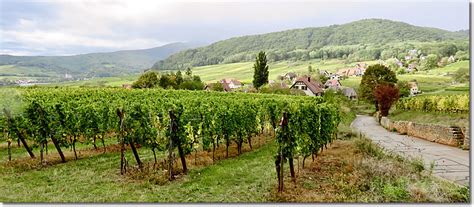 Route des Vins d'Alsace, Alsatian Wine Route, France