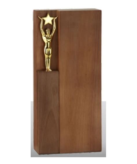 Plain Wooden Trophy Plaques, For Appreciation Award, Shape: Rectangular at Rs 1400 in Mumbai