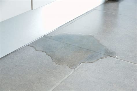 Concrete Floor Sealer Before Tiling – Flooring Ideas