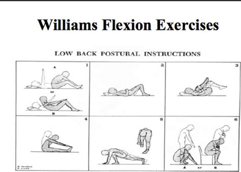 Spine and Sacroiliac rehab Flashcards | Quizlet