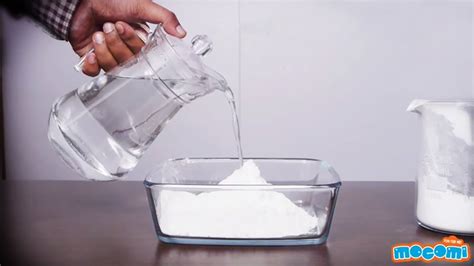 Cornstarch and Water Experiment - Science Projects for Kids | Educational Videos by Mocomi - YouTube