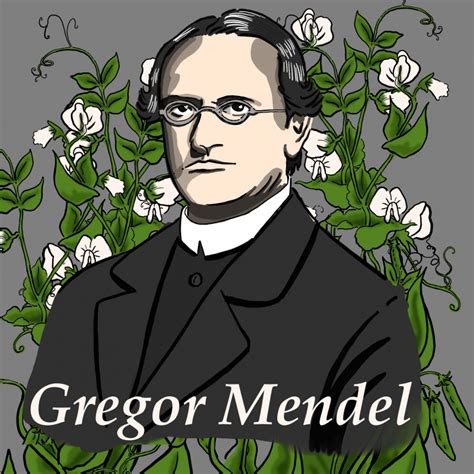 Top 10 Interesting Facts about Gregor Mendel - toplist.info