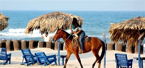 Tampico "Playa Miramar" will offer 25 lots to attract private ...