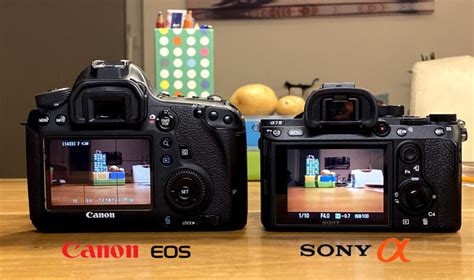 Canon vs Sony DSLR Camera Comparison #1 Color