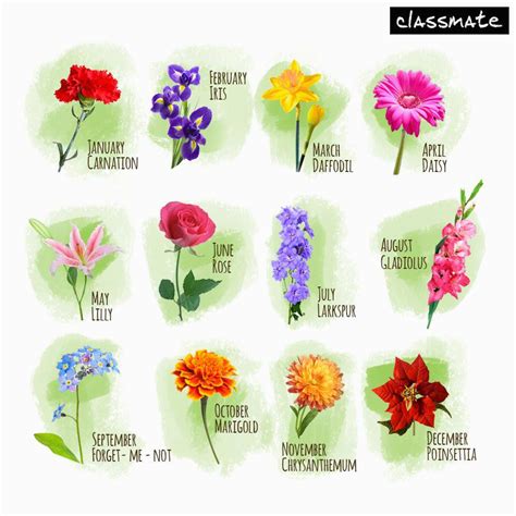 Birthday Flowers Of the Month Classmate On Twitter Quot Find Your Birth Month and Comment ...