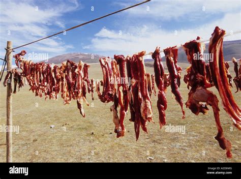 drying meat mongolia Stock Photo - Alamy