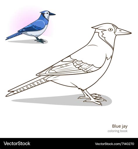 blue jay coloring picture Blue jay coloring page - TAMAN ILMU