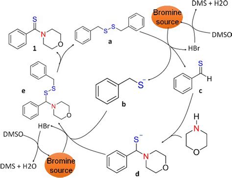 Plausible Reaction Mechanism for the Formation of thioamide 1 ...