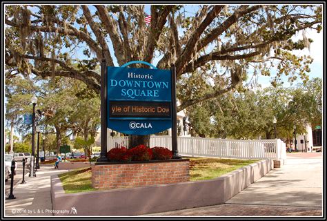 Ocala, Central Florida & Beyond: New Sign and Horse for Ocala's ...