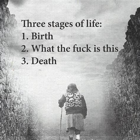 STAGES OF LIFE - MyConfinedSpace