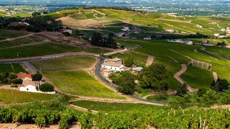 A Guide To The 10 Crus Of France's Beaujolais Wine Region