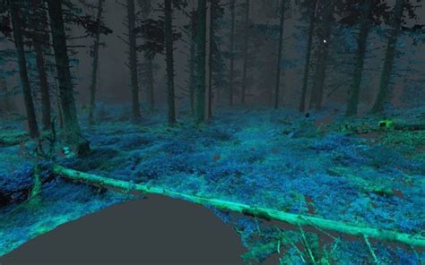 Virtual Reality Nature: Helmet Lets Humans See the Forest Like Animals Do | Urbanist