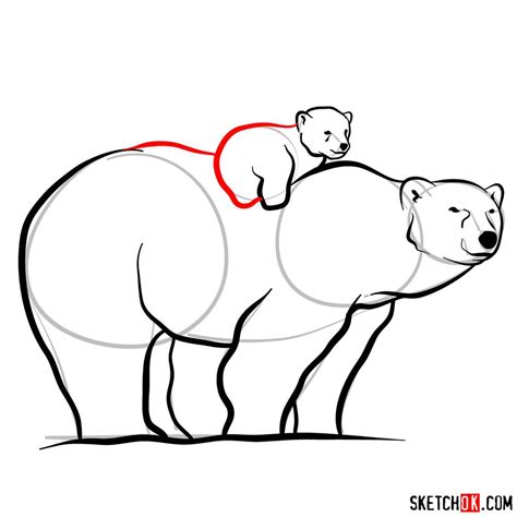 How To Draw A Polar Bear