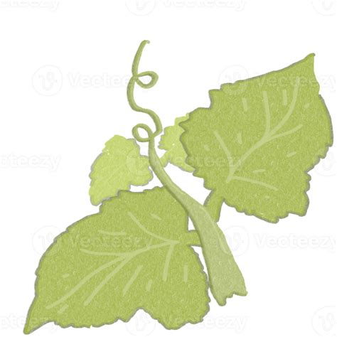 Pumpkin Leaf drawing for decor 27156247 PNG