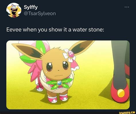 Ta water stone: Eevee when you show - iFunny