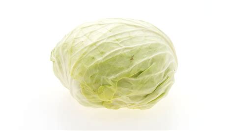 Zenxin Organic English Cabbage 500g delivery near you | foodpanda Malaysia