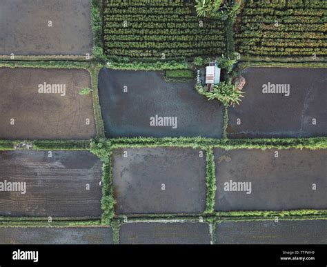 Aerial view of farm Stock Photo - Alamy