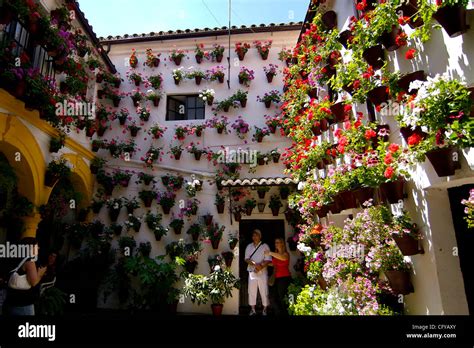 Cordoba. Festival de Patios Cordobeses. San Basilio 14, Patio de las Stock Photo, Royalty Free ...