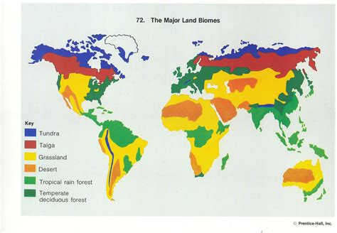 Printable World Biome Map