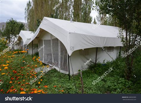 15 Nubra Valley Camp Stay Images, Stock Photos & Vectors | Shutterstock