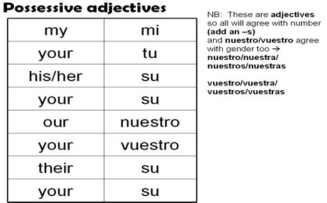 Spanish: Possessive Adjectives | Spanish - Pronombres | Pinterest | Spanish, Language and ...