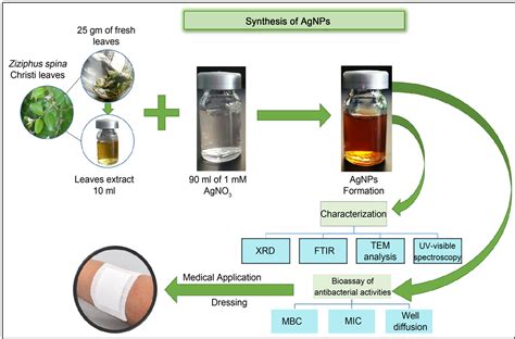 Rapid Biosynthesis Method and Characterization of Silver Nanoparticles ...