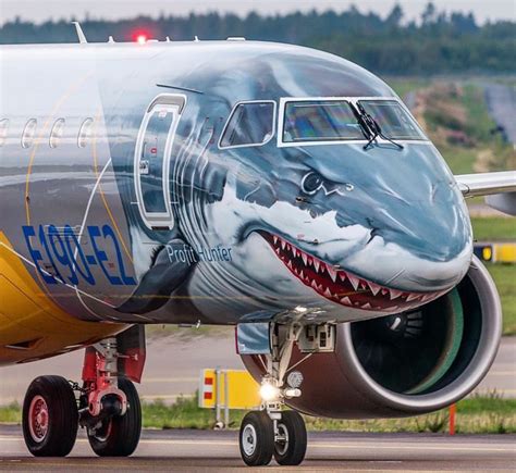 Shark plane : r/sharks