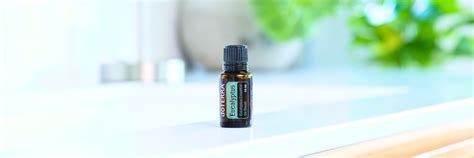 doTERRA Eucalyptus Essential Oil