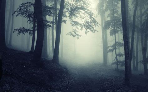 Pin by Stephen Holmes on Curse of Strahd | Foggy forest, Dark forest, Forest art