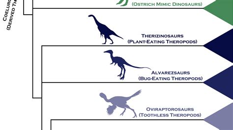 A Simple Chart to Help You Understand How Birds Evolved from Dinosaurs