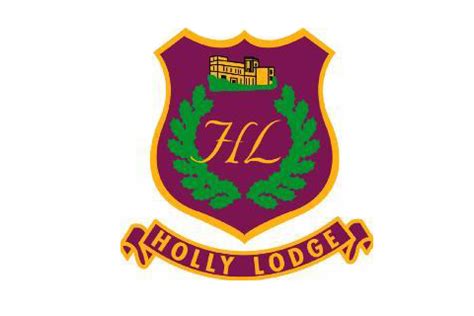 Holly Lodge School | Cass Associates