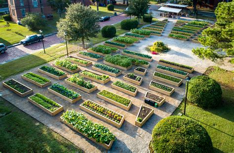 Urban Farm at Enston Home | The Green Heart Project