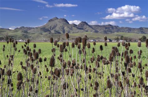 Best Time to See Sutter Buttes in California 2024 - Rove.me