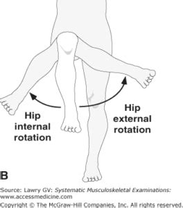 internal-external-hip-rotation ⋆ Hitting Performance Lab LLC