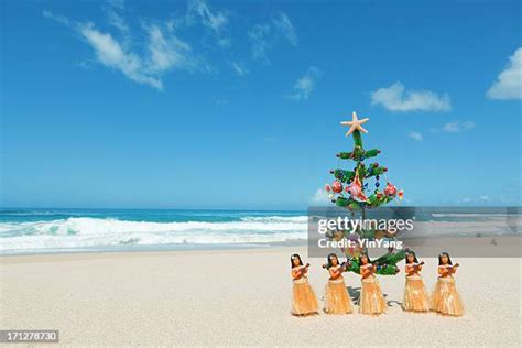 1,652 Hawaii Christmas Stock Photos, High-Res Pictures, and Images - Getty Images