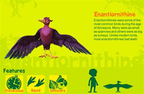 Enantiornithine - Animals Photo (40318357) - Fanpop