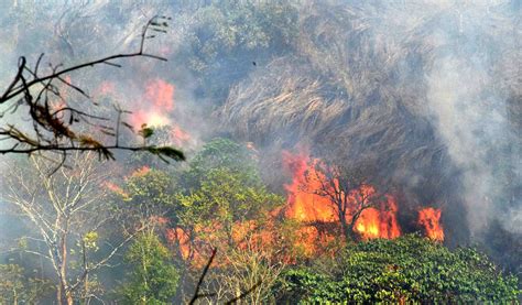 A wildfire blazes in a forest near Umiam Lake on Thursday. - The Shillong Times