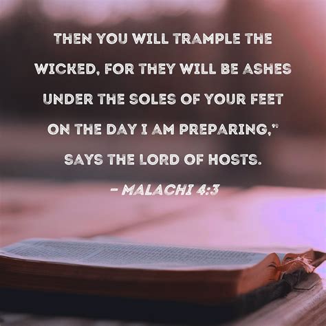 Malachi 4:3 Then you will trample the wicked, for they will be ashes under the soles of your ...