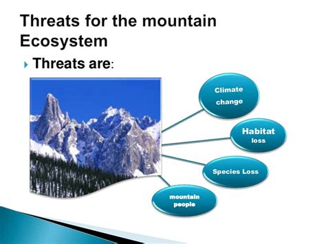 Presentation on mountain ecosystem