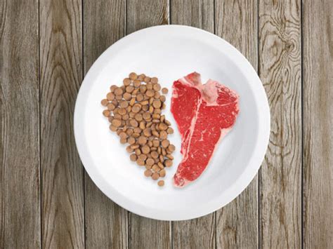 Transitioning Your Pet To a Raw Diet – Mrs. Meadys