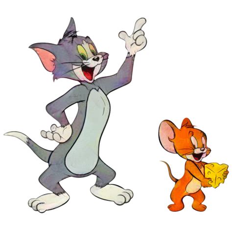 Tom Cat Jerry Mouse Tom and Jerry Wall decal Drawing - png download - 1025*1000 - Free ...