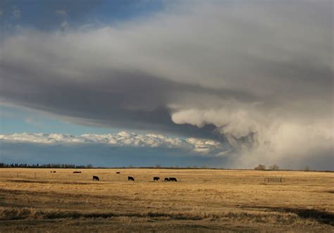 Hail, storm damage to crops during September, October | The Western ...